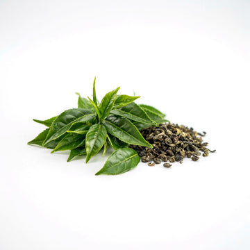 Green Tea