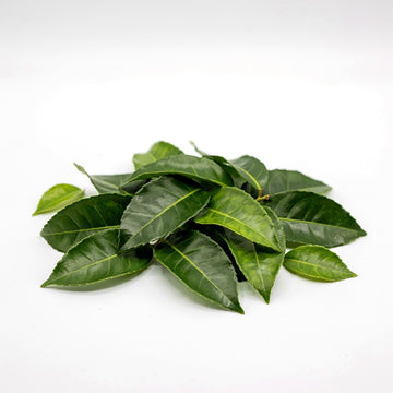 Lemon Myrtle