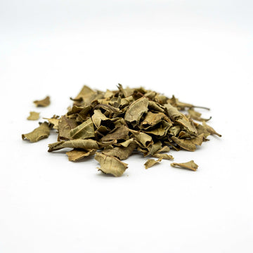 Patchouli