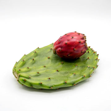 Prickly Pear