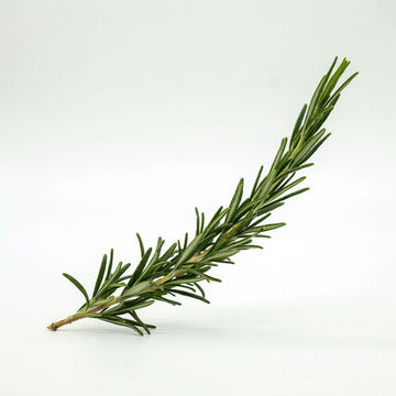 Rosemary