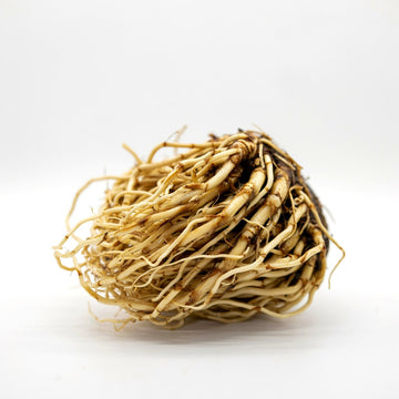 Vetiver