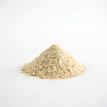 Yeast Extract