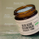 Blue Algae Serum Balm with benefits: renews cells, protects collagen, hydrates and firms