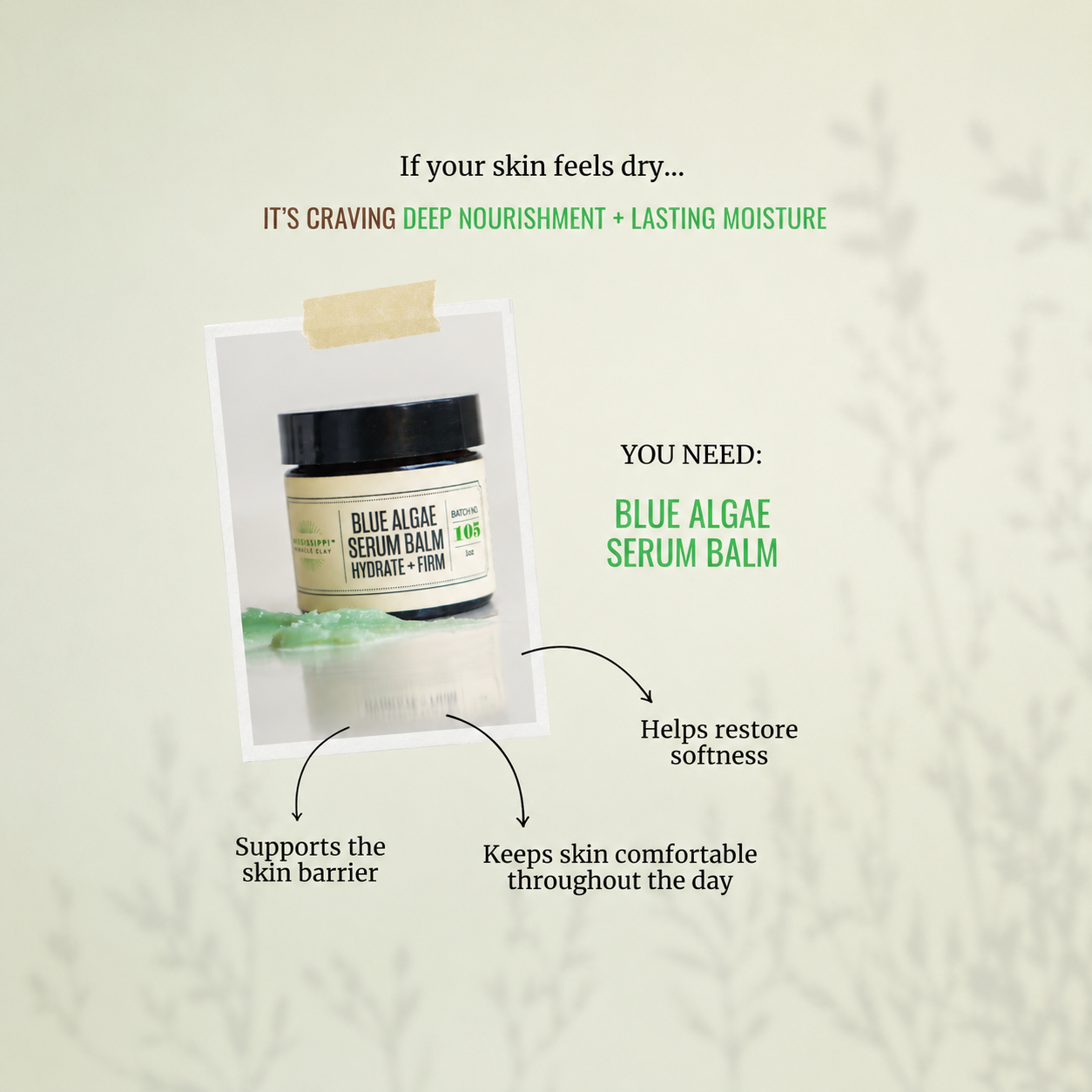Blue Algae Serum Balm
