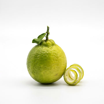 Bergamot
