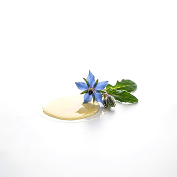 Borage Oil