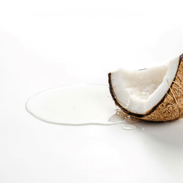 Coconut Fruit Extract