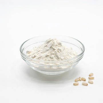 Hydrolyzed Rice Protein
