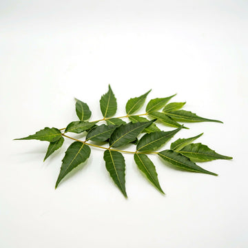 Neem