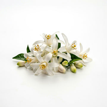 Neroli
