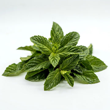 Peppermint