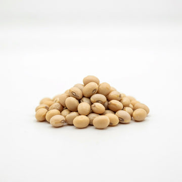 Soybean Extract