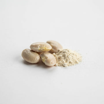 White Lupine Peptide