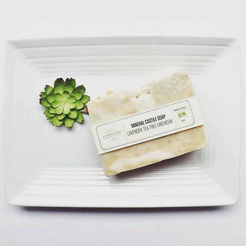 Lavender Tea Tree Castile Soap bar with a succulent